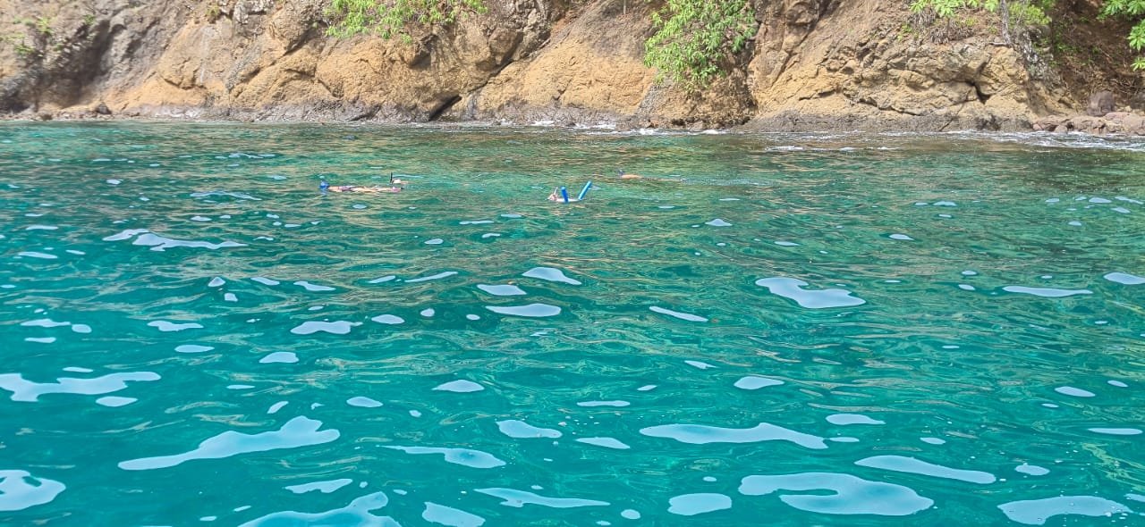 Personas practicando snorkel en aguas turquesas junto a la costa